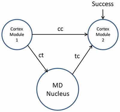 The Thalamus as a Blackboard for Perception and Planning